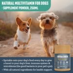 Herbal Dog Co Body Boost Dog Multivitamin Herbal Blend, 250ml - Dog Vitamins & Supplements for Dogs & Puppies - All-Natural, Vegan, Made in UK - Image 3
