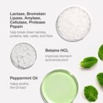 Digestive Enzyme Supplements with Betaine HCL - 7 Digestive Enzymes for Gut Health & Support with Lactase, Bromelain, Lipase & Peppermint Oil - 30 Capsules - Gentle & Fast Acting Tablets - UK Made - Image 4