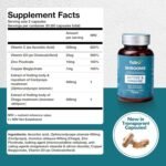 fabÜ Shrooms Immune - Mushroom Immune Support & Energy Booster with Chaga & Cordyceps Plus Vitamin D - Natural Defence Support Supplement - Vegan Friendly for Daily Wellness (60 Capsules) - Image 5