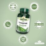Natures Aid Fenugreek 500mg – High Strength Vegan Supplement for Daily Wellness – Supports Digestion, Metabolism & Energy – Gluten-Free, Non-GMO, Natural Extract – 90 Capsules - Image 5