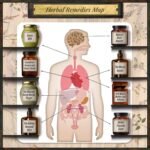 Forgotten Home Apothecary : 250 Powerful Remedies at Your Fingertips - Image 4