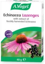 A.Vogel Echinacea Lozenges – Rich Blackcurrant Flavour – Naturally Flavoured Lozenges with Elderberry & Extracts of Freshly Harvested Echinacea - 40g - Image 3