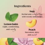 Twinings Superblends Menopause Cool Moments Peach Herbal Tea infusion with Lemon Balm, Honey Blush & Vitamin B6, 20 Biodegradable Bags - Image 3