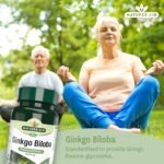 Natures Aid Ginkgo Biloba 6000mg High Strength - Supports Brain Function, Memory & Circulation Natural Antioxidant Food Supplement - Vegan, Non-GMO, Gluten-Free - 90 Tablets - Image 3