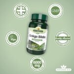 Natures Aid Ginkgo Biloba 6000mg High Strength - Supports Brain Function, Memory & Circulation Natural Antioxidant Food Supplement - Vegan, Non-GMO, Gluten-Free - 90 Tablets - Image 4