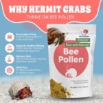 Bee Pollen Powder for Hermit Crabs – Natural Food Supplement for Molting & Recovery – Auto Feeder Safe Powder Food Topper – No Filler Crab Nutrition Booster – 2.5 oz - Image 3