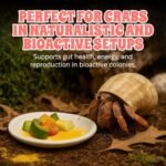 Bee Pollen Powder for Hermit Crabs – Natural Food Supplement for Molting & Recovery – Auto Feeder Safe Powder Food Topper – No Filler Crab Nutrition Booster – 2.5 oz - Image 5