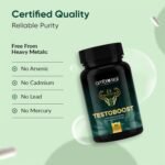Ambrosial Herbal Testosterone Booster Supplements for Men 500 mg – Pure Shilajit 50 mg, Ashwagandha 200 mg, Safed Musli 250 mg – Natural Stamina Support for Men, 2 Months Supply, 60 Capsules - Image 6