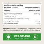 Ashwagandha KSM 66 Root Extract Capsules | 3 Month Supply | 5500mg | Organic Ashwagandha High Strength Powder | Clean Formula Pure Herbal Supplements for Women & Men | VitaBright UK - Image 3