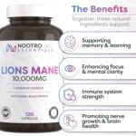 Nootro Labs Essentials Lion's Mane Capsules (60 servings), 10000mg Lions Mane Supplement With Vitamin B Complex to Support Focus and Brain Function - Image 3
