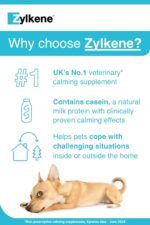 Zylkene Calming Supplements for Cats & Dogs up to 10kg 75mg | Promotes Relaxation | Helps Pets cope with Short-Term challenging situations: Loud Noises | Easily Administered | 20 Capsules - Image 4
