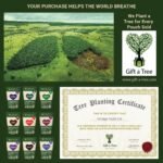 EnergAid Energy & Stamina Supplement | Natural Caffeine-Free Pre-Workout with Korean Ginseng, CoQ10, Rhodiola & B Vitamins | Reduces Fatigue, Supports Focus & Metabolism | Vegan | Made in UK - Image 5