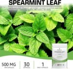 Bodygenix Spearmint Leaf Capsules - 500mg Hormonal Balance Digestive Health Fatigue & Stress Relief Support Antioxidant Formula Natural Food Supplement - 30 Capsules 1 Month Supply - Image 3