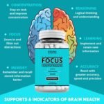 Focus Nootropic Supplement for Memory Brain Support – Natural Nootropic for Cognitive Support, Energy, Mental Clarity, and Concentration Boost – 60 Capsules - Image 4