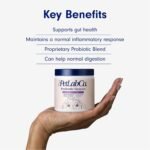PetLab Co. Probiotics for Dogs, Support Gut Health, Occasional Diarrhea, Digestive Health & Seasonal Allergies - Salmon Flavor - 30 Soft Chews - Image 3