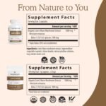 Real Mushrooms Lion’s Mane Capsules - Organic Lions Mane Mushroom Extract for Cognitive Function & Immune Support - Brain Supplements for Memory and Focus - Vegan Mushroom Supplement, 300 Caps - Image 4