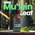 SafeFine Organic Mullein Tincture Drops for Respiratory Health – Natural Lung Support, Alcohol-Free, Vegan, Non-GMO, Herbal Extract, 2 fl oz (60ml) Natural Sleep Aid & Immune Support - Image 3