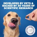 Protexin Daily Care Gut+ Skin & Coat | 60 Probiotic Dog Chews, Salmon and Sweet Potato Flavour Pet Supplement | Probiotics for Dogs - Image 4