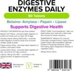 Lindens - Digestive Enzymes Daily Tablets - 90 Tablets - UK Made - Contains Betaine Hcl, Papain, Amylase & Lipase to Promote Better Digestion - Letterbox Friendly, Vegan - Image 3