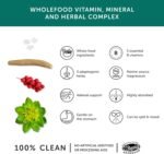 Stress Aid Complex – Together Health – 5 Essential B Vitamins – Schisandra, Ashwagandha & Rhodiola – Ocean-Sourced Magnesium – Vegan Friendly – Made in The UK - 30 Vegecaps - Image 4