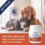 Dorwest Herbs Scullcap & Valerian Calming Tablets for Dogs and Cats, 100 Tablets, Natural Dog Calming Supplements for Stress and Anxiety Relief – Non-Drowsy - Image 5
