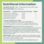 Premium Bio Cultures Complex 180 Capsules (6 Month’s Supply) | High Strength Probiotic | Vegan Multi Strain Probiotic | Lactobacillus Acidophilus & Bifidobacterium | Supports Digestive Health - Image 3
