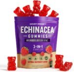 Echinacea Gummies 3-in-1 Echinacea with Dandelion & Honeysuckle - Raspberry Flavour - Gluten Free - Food Supplement - Vegan - 60 Gummies per Pack (1 Single Pack) - Image 2