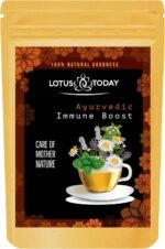 Immune System support Tea, Herbal tea with 18 Herbs and spices, Ayurvedic Recipe, 21 Tea Bags - Image 2