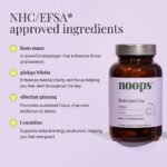 Noops Nootropics BrainCare Day Focus & Energy - Lion's Mane, Ginkgo Biloba, L-Tyrosine, L-Carnitine, Pine Bark, Bacopa, B Vitamins, & Ginseng Supplement, Nootropic Memory Enhancer, 60 Capsules - Image 2