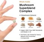 Mushroom Complex - Lions Mane + Cordyceps Chaga Reishi Shiitak,Maitake Mushroomss Blend - High Potency Supplement - Made in The UK - 120 Tablets - Image 3