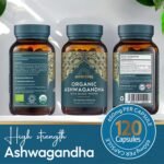 Ayurvediq Wellness Organic Ashwagandha with Organic Black Pepper 650mg, 120 Capsules - Ashwagandha High Strength for Anxiety, Stress Relief for Adults, Better Sleep - Vegan Ayurvedic Products - Image 6