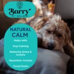 Barry Pet Wellness Natural Calm | Premium Calming Dog Supplement | Anxiety Relief for Dogs | Reduces Stress, Anxiety & Hyperactivity | Helps with Separation Anxiety - Image 3