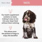 Chew + Heal Labs Anti Diarrhea for Dogs 2oz - Fast Relief Liquid Dog Diarrhea Supplement with Kaolin Pectin Formula - Effective Diarrhea Treatment and Dog Health Upset Stomach Supplement - Image 6