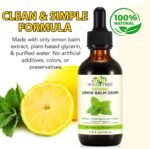Lemon Balm Drops - 120 Servings, Herbal Supplements with Natural Lemon Balm Leaf Extract for Relaxation, Supports Healthy Sleep, Health & Personal Care Drops, Non-GMO, Alcohol-Free - 2 Fl.oz - Image 3