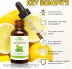 Lemon Balm Drops - 120 Servings, Herbal Supplements with Natural Lemon Balm Leaf Extract for Relaxation, Supports Healthy Sleep, Health & Personal Care Drops, Non-GMO, Alcohol-Free - 2 Fl.oz - Image 4