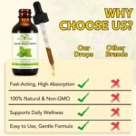 Lemon Balm Drops - 120 Servings, Herbal Supplements with Natural Lemon Balm Leaf Extract for Relaxation, Supports Healthy Sleep, Health & Personal Care Drops, Non-GMO, Alcohol-Free - 2 Fl.oz - Image 5