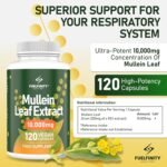 Mullein Leaf Extract for Lungs - 10,000 mg – Lung Cleanse & Lung Detox for Smokers – 120 Capsules - High Strength Respiratory Support - FuelFinity® - Vegan - Image 3