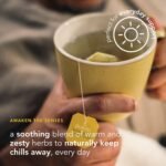 Pukka Herbs Organic Lemon, Ginger and Manuka Honey Herbal Tea Box - 40 Plant Based Biodegradable Tea Bags - Immune Boosting Infusion With Turmeric - For Daily Support - Caffeine Free - Image 4