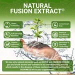Organic Amla Vitamin C Capsules - Certified Organic by Soil Association | Potent Natural Sourced Vitamin C | Ayurveda | Vegetarian & Vegan Friendly | 60 Easy Swallow Amalaki Tablets | Made in The UK - Image 3