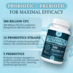 300 Billion CFU Probiotics for Digestive Gut & Immune Health, Advanced Strength Probiotics with 12 Diverse Strains + 3 Prebiotics for Women & Men (60 Count (Pack of 1)) - Image 4