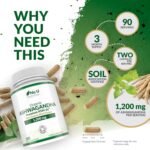 Organic Ashwagandha KSM-66® 1200mg - 5% Withanolides - 180 Vegan Capsules not Tablets - High Strength Ashwaganda Enhanced with Black Pepper - Soil Association Certified - Nu U Nutrition - Image 4