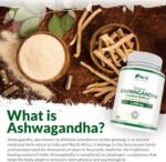 Organic Ashwagandha KSM-66® 1200mg - 5% Withanolides - 180 Vegan Capsules not Tablets - High Strength Ashwaganda Enhanced with Black Pepper - Soil Association Certified - Nu U Nutrition - Image 6