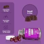 Freak Athletics Elderberry Gummies – Elderberry with Vitamins C & Zinc for Immunity Lift, 60 Vegan Multivitamin Gummies, Berry Flavour, Energy & Immune Support - Image 5