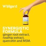 Wellgard Vegan Glucosamine & Phytodroitin Supplement with Quercetin, MSM, and Ginger Extract - Botanical Chondroitin Alternative, Includes Rosehip, Made in UK - Image 4