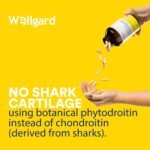 Wellgard Vegan Glucosamine & Phytodroitin Supplement with Quercetin, MSM, and Ginger Extract - Botanical Chondroitin Alternative, Includes Rosehip, Made in UK - Image 5