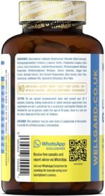 Wellgard Vegan Glucosamine & Phytodroitin Supplement with Quercetin, MSM, and Ginger Extract - Botanical Chondroitin Alternative, Includes Rosehip, Made in UK - Image 6