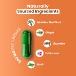 ZeroHarm Lung Support – Herbal Blend with Echinacea, Ginger & Basil – Respiratory, Breathing & Immune Health – Liposomal Absorption – Powered by Real Food Ingredients – 60 Vegan Capsules - Image 3