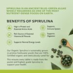 Organic Spirulina 1000x Pure Easy to Swallow Tablets - Rich in Essential Vitamins & Minerals by Inner Vitality - Image 4