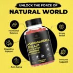 NeuroBoost™ 5 in 1 Wellness Gummies – Ashwagandha 500 mg, Shilajit 600 mg, Lion’s Mane 600 mg, Maca Root 100 mg & Vitamin D3 20 mg – 60 Count – Stress, Focus, Energy & Immune Support - Image 4