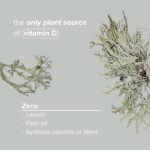 Botanycl Vegan Vitamin D3 - As Seen on Dragons’ Den - 2500 IU - 120 Capsules - 4 Month Supply - 100% Plant-Based from Lichen - Supports Hair, Mood, Immune Health & Bone Strength - Image 5